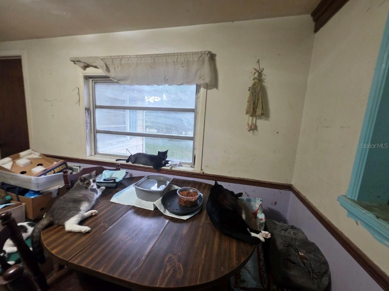 39521 COIT RD — photo 27