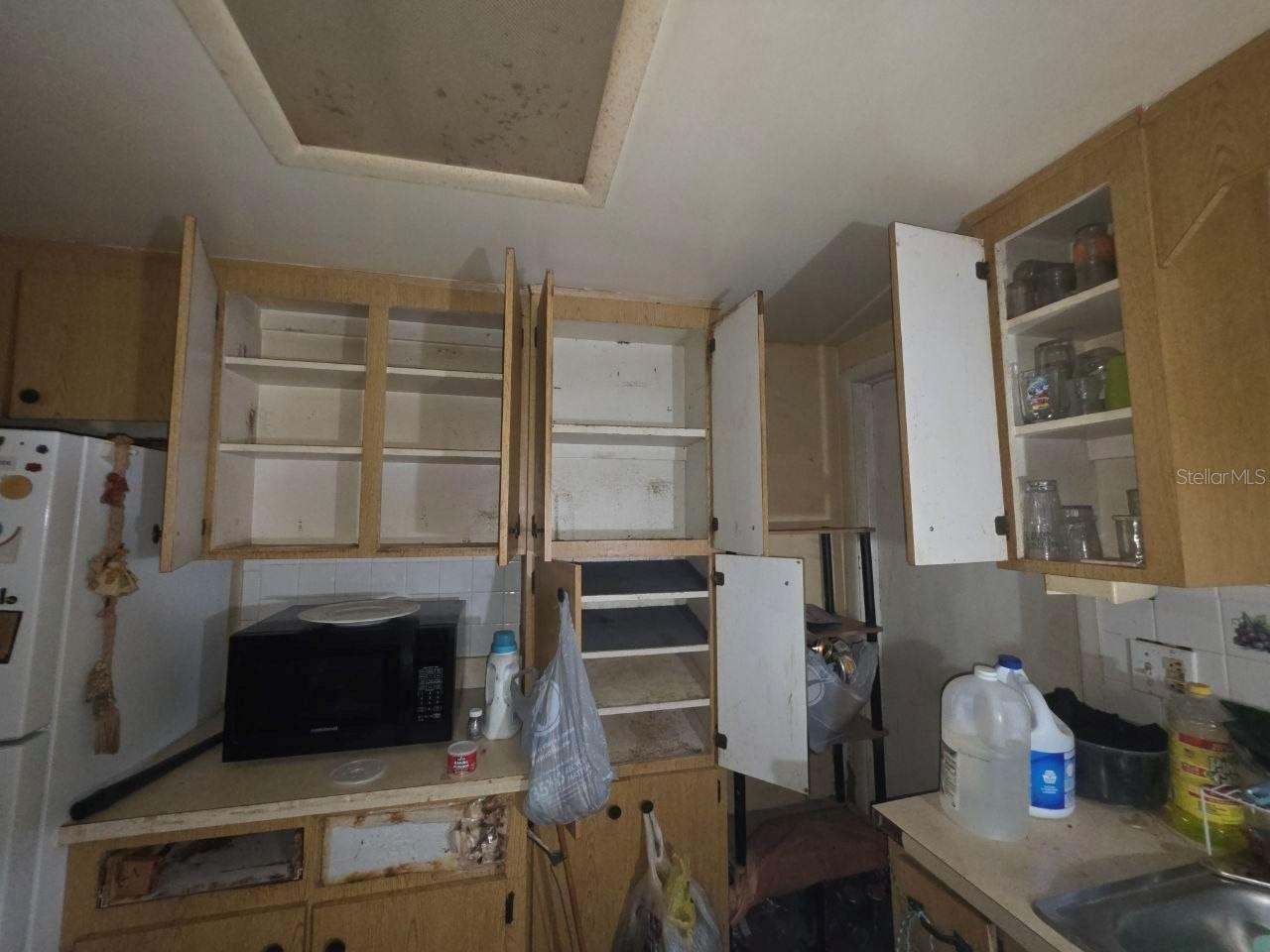 39521 COIT RD — photo 16
