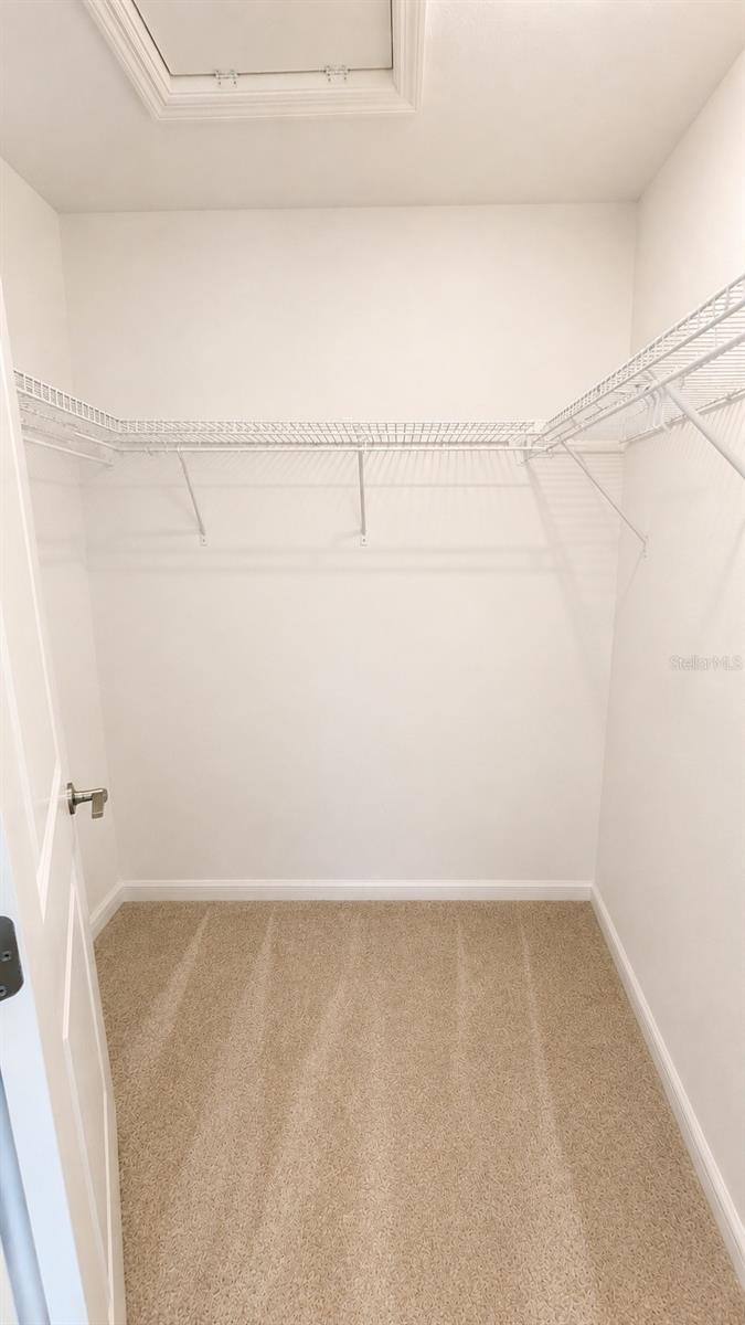 5698 ARCHIPELAGO ST — photo 20