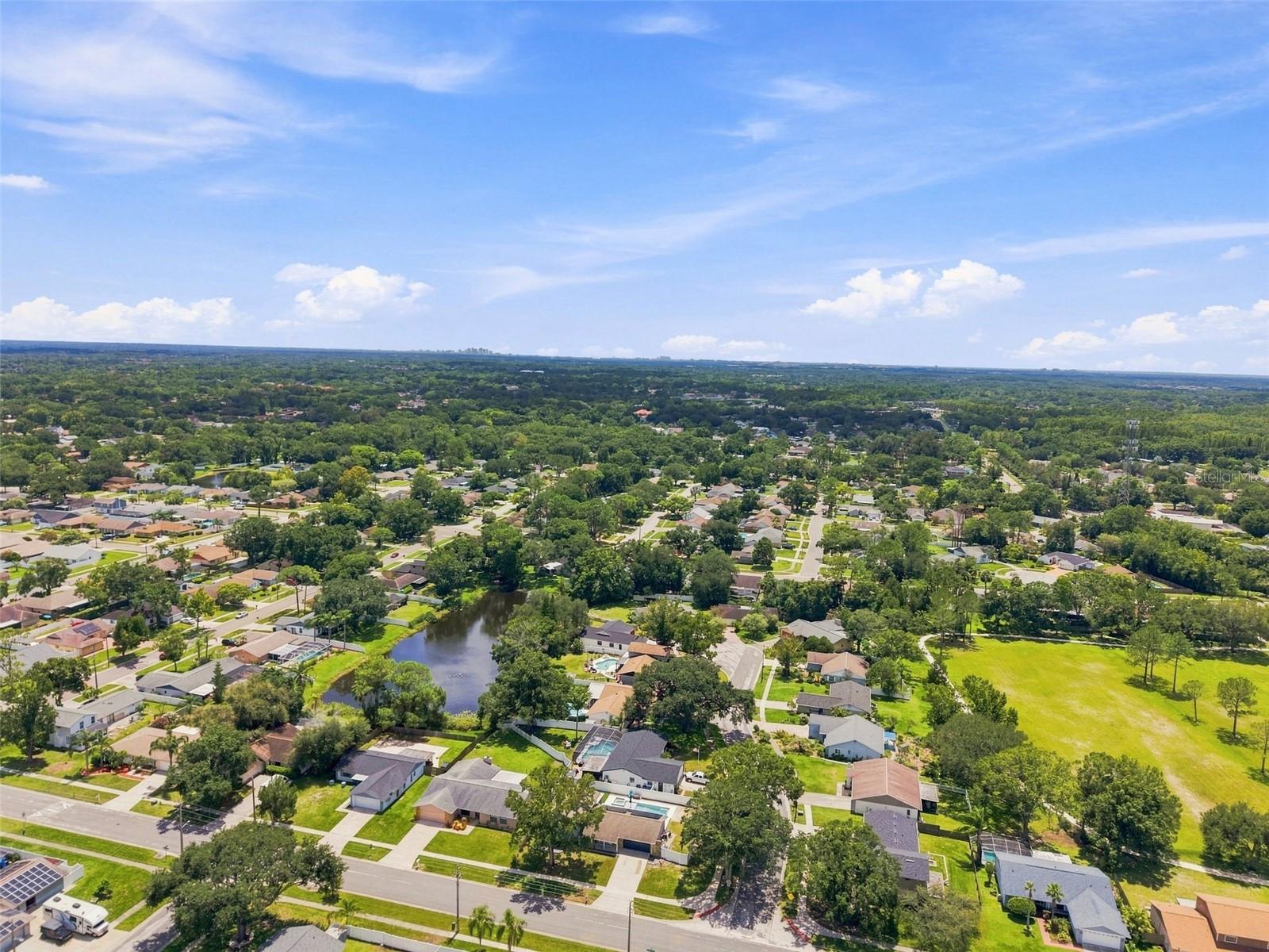 15868 COUNTRY LAKE DR — photo 43