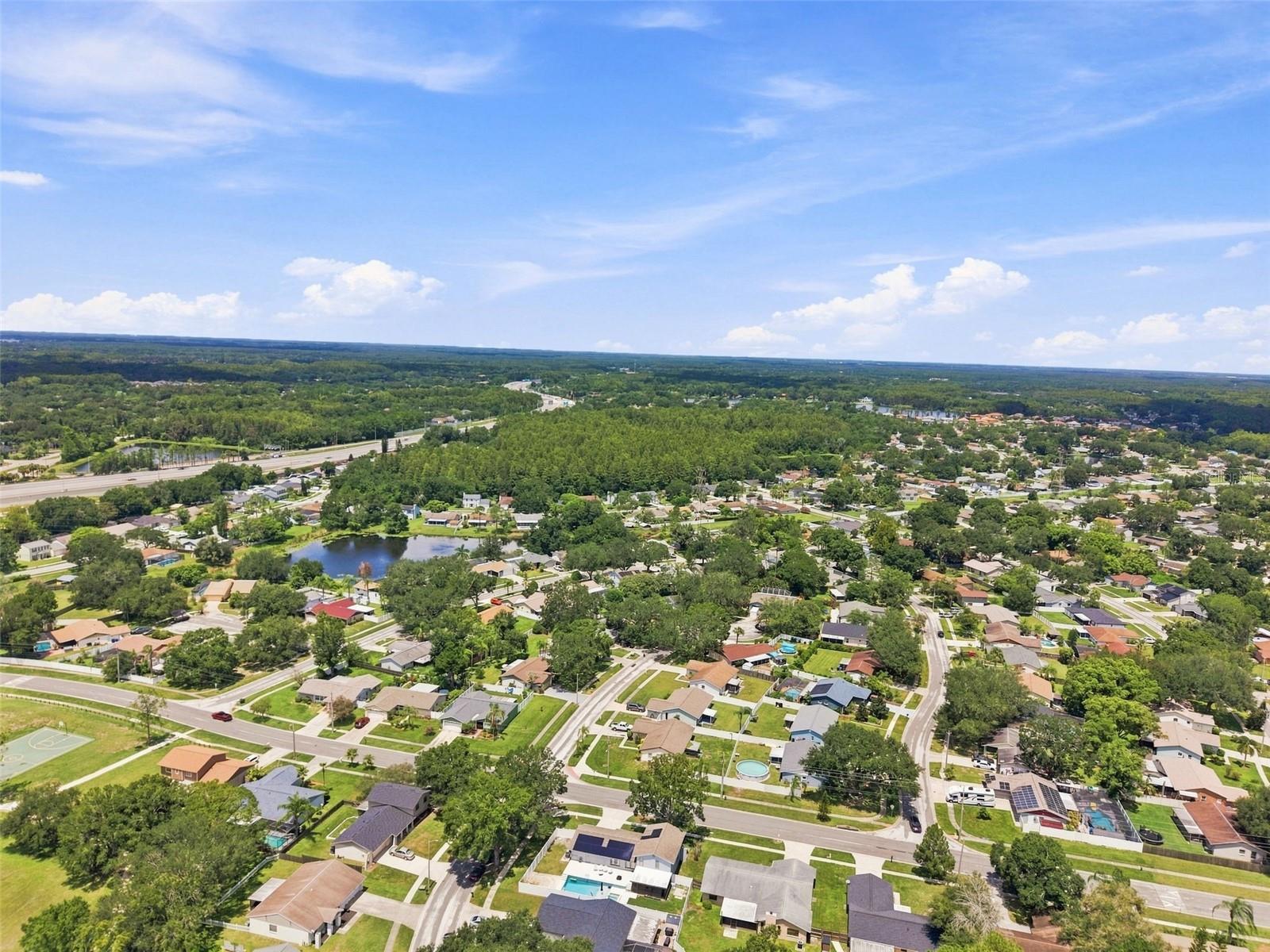 15868 COUNTRY LAKE DR — photo 47