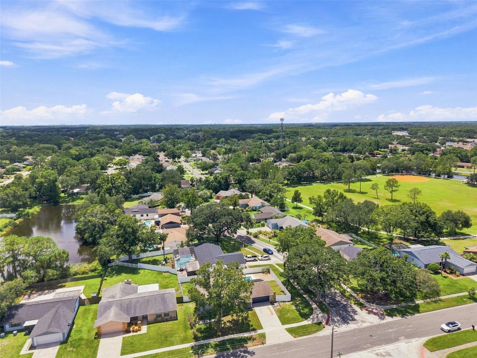15868 COUNTRY LAKE DR — photo 45