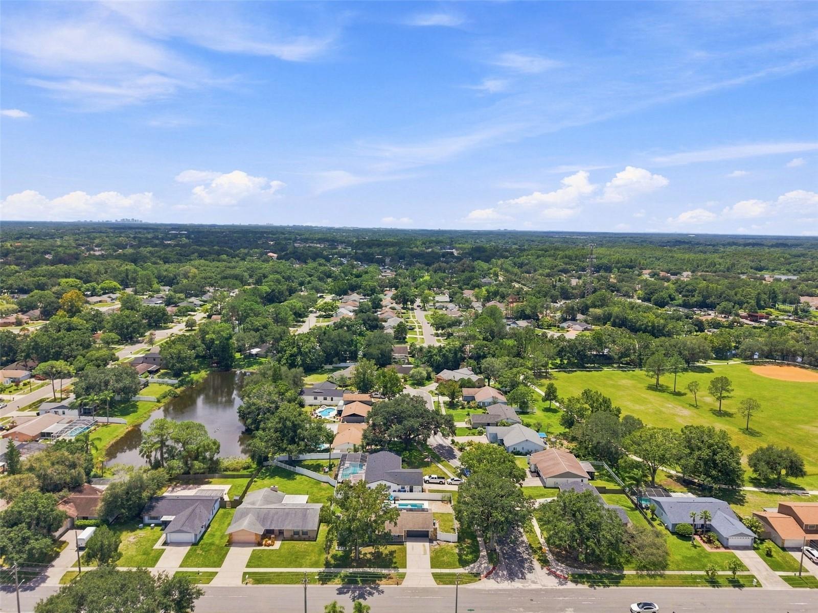 15868 COUNTRY LAKE DR — photo 44