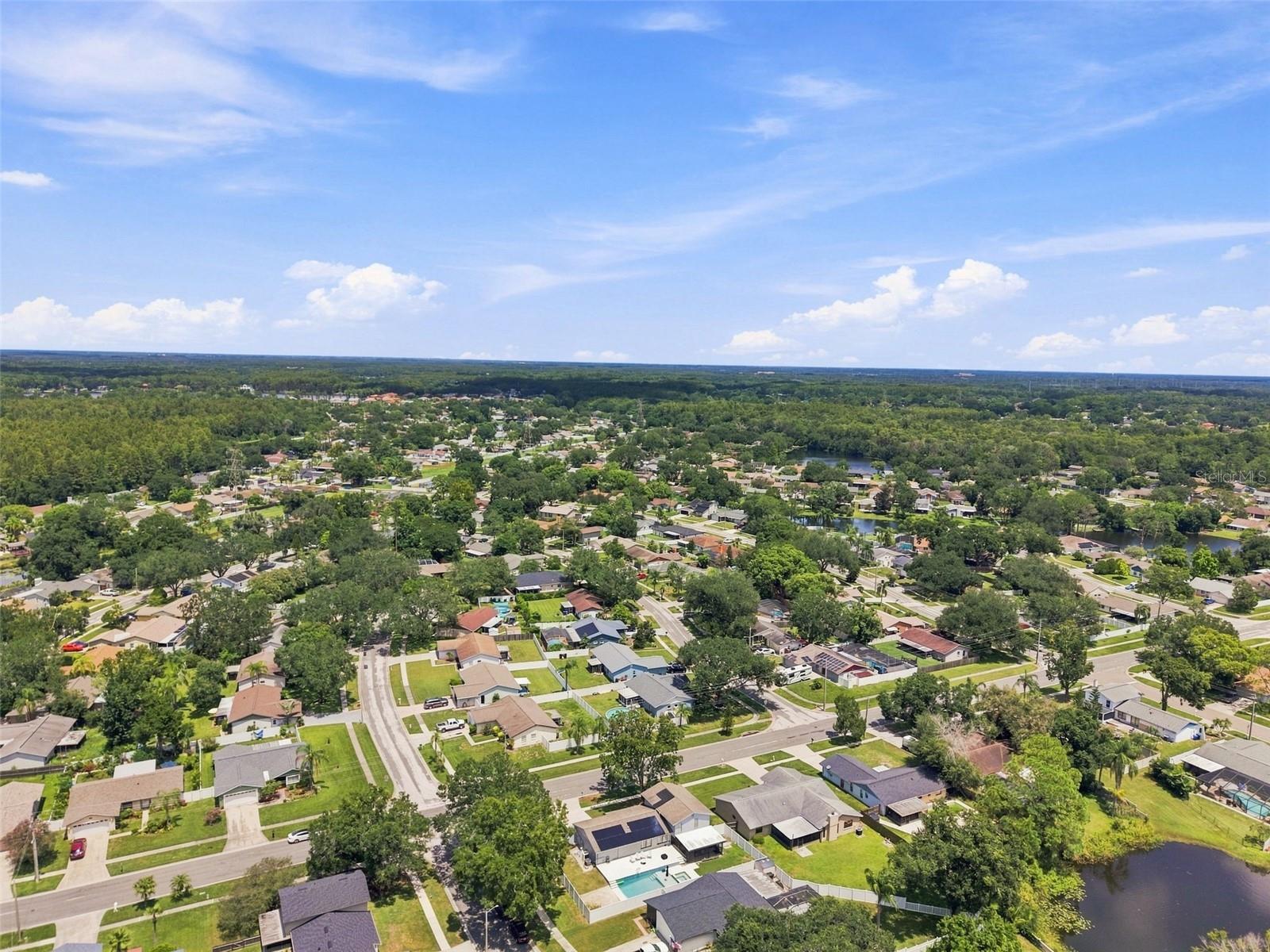 15868 COUNTRY LAKE DR — photo 49