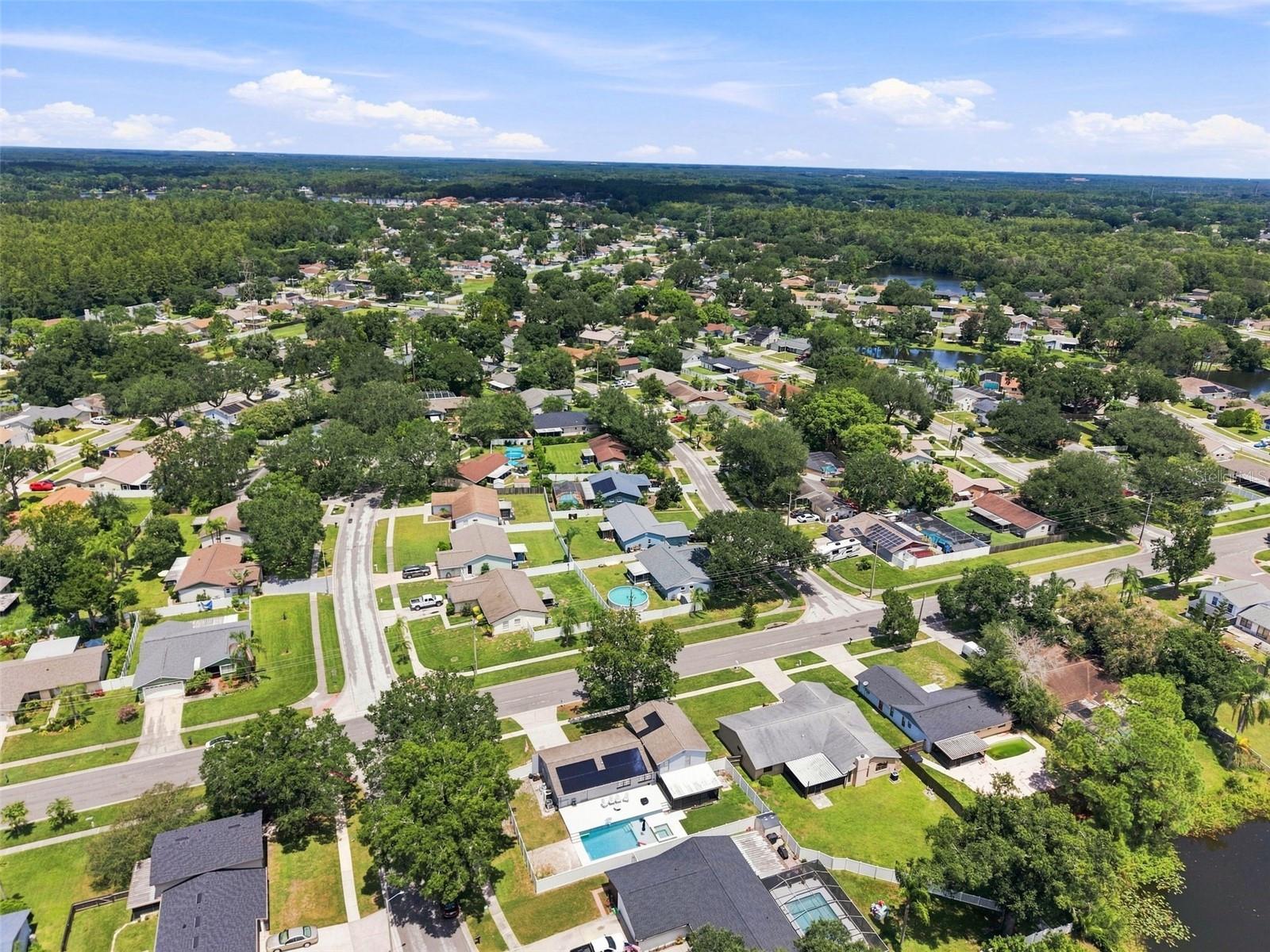 15868 COUNTRY LAKE DR — photo 46