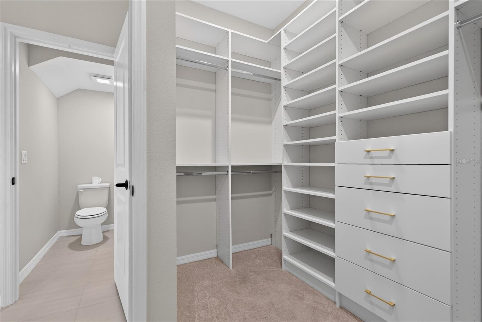 16552 STAR GRASS CIR — photo 66