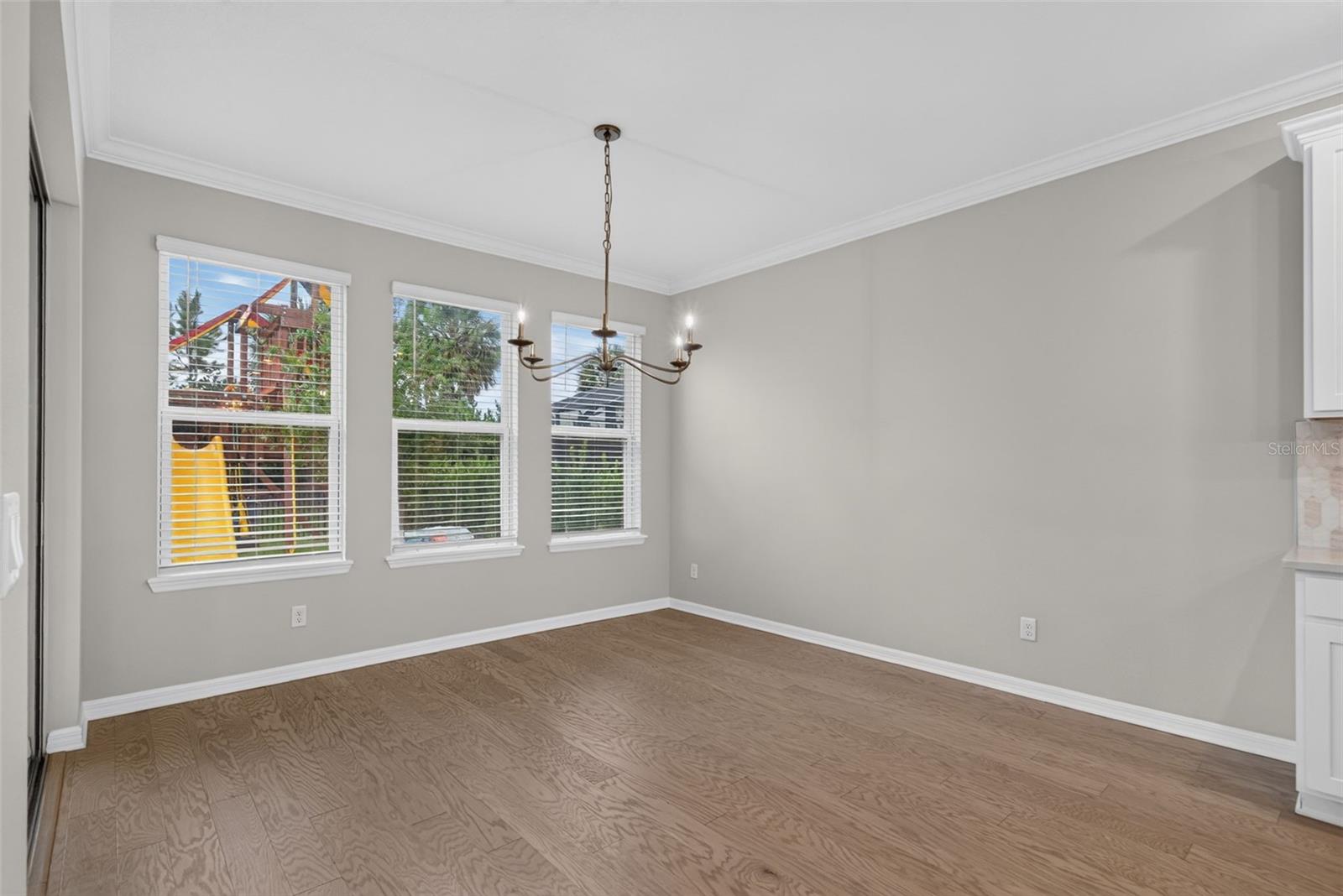 16552 STAR GRASS CIR — photo 44