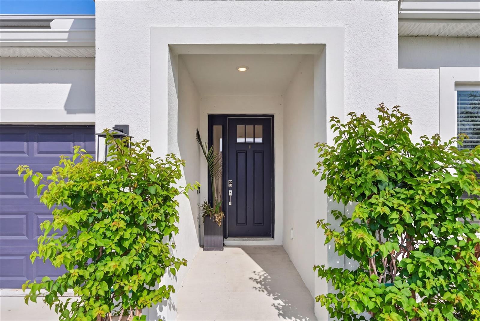 16552 STAR GRASS CIR — photo 12