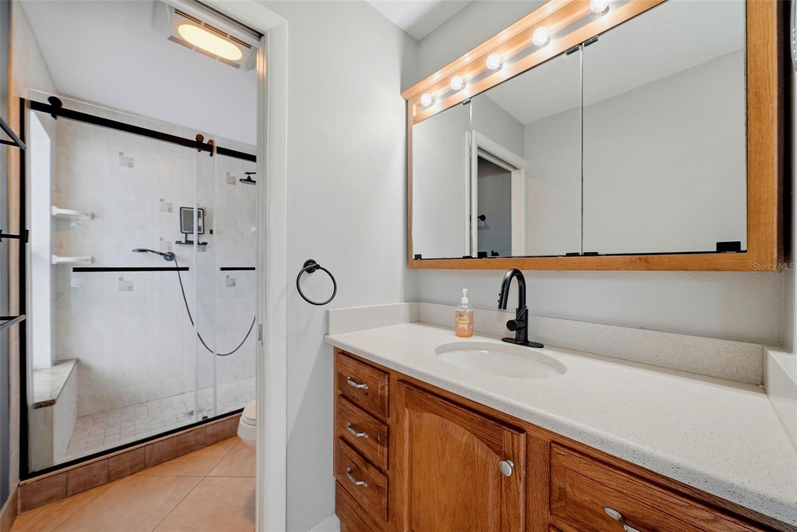 3916 BLOOMING HILL LN — photo 24