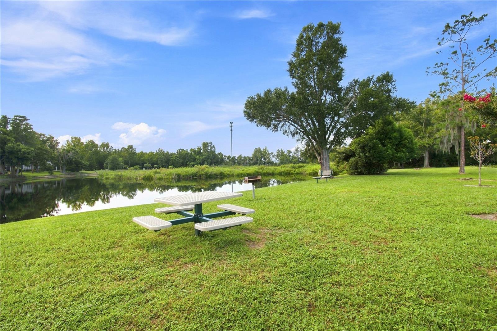 2251 PARK CRESCENT DR — photo 42