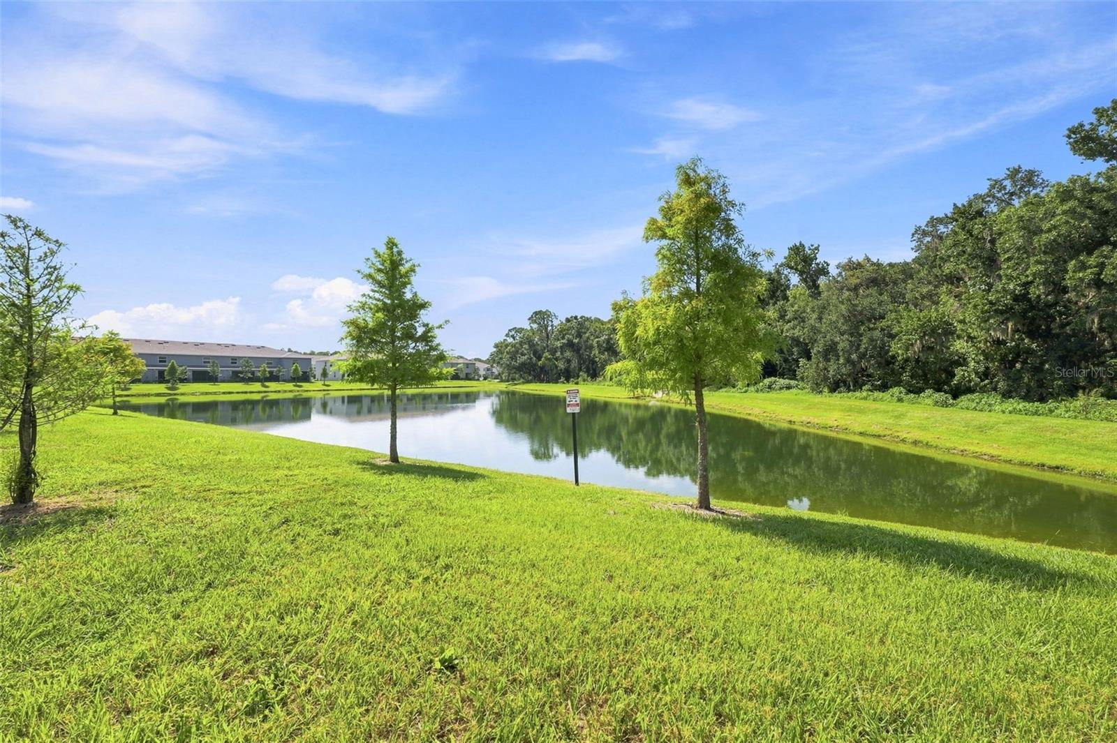 32898 PEZ LANDING LN — photo 30