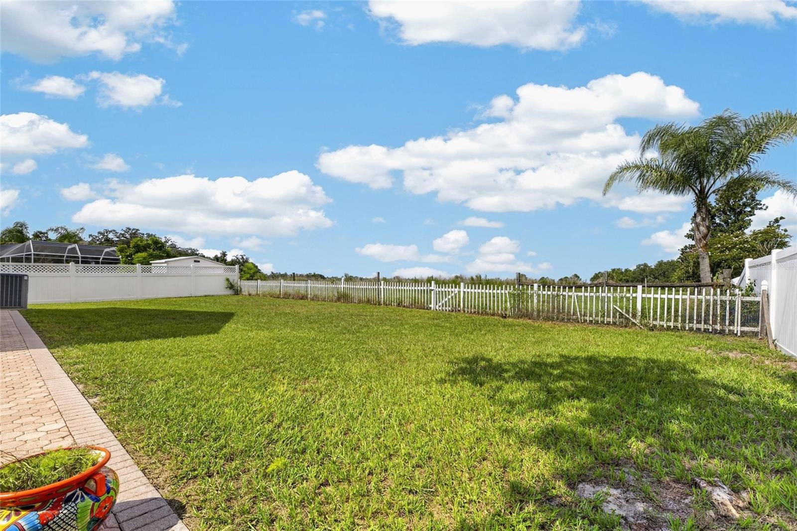 10303 TARRAGON DR — photo 4