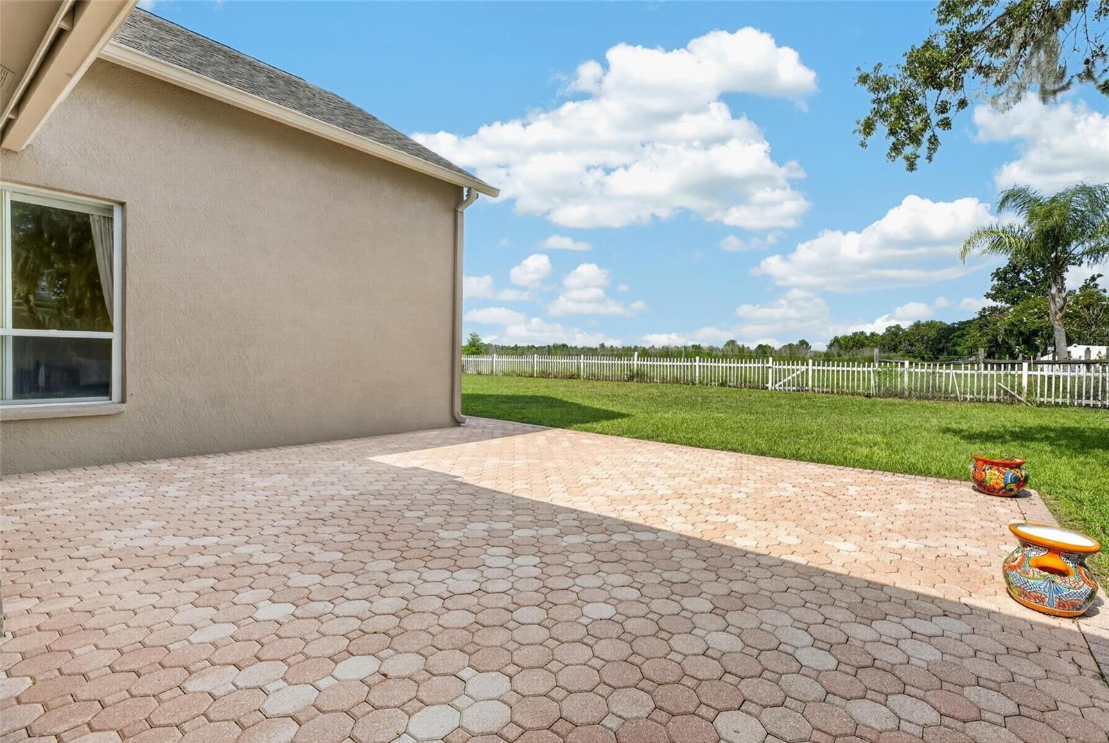 10303 TARRAGON DR — photo 3