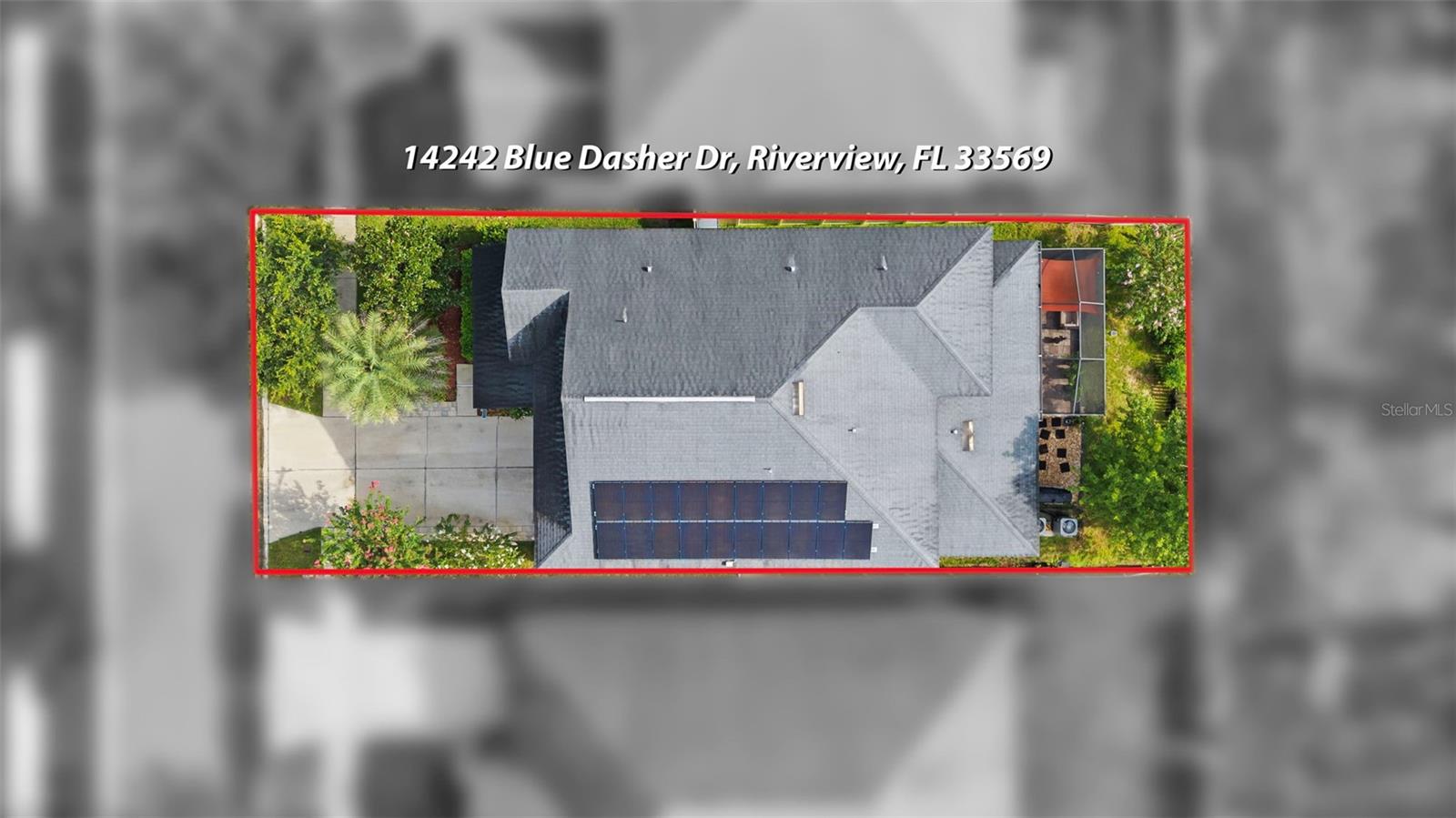 14242 BLUE DASHER DR — photo 48