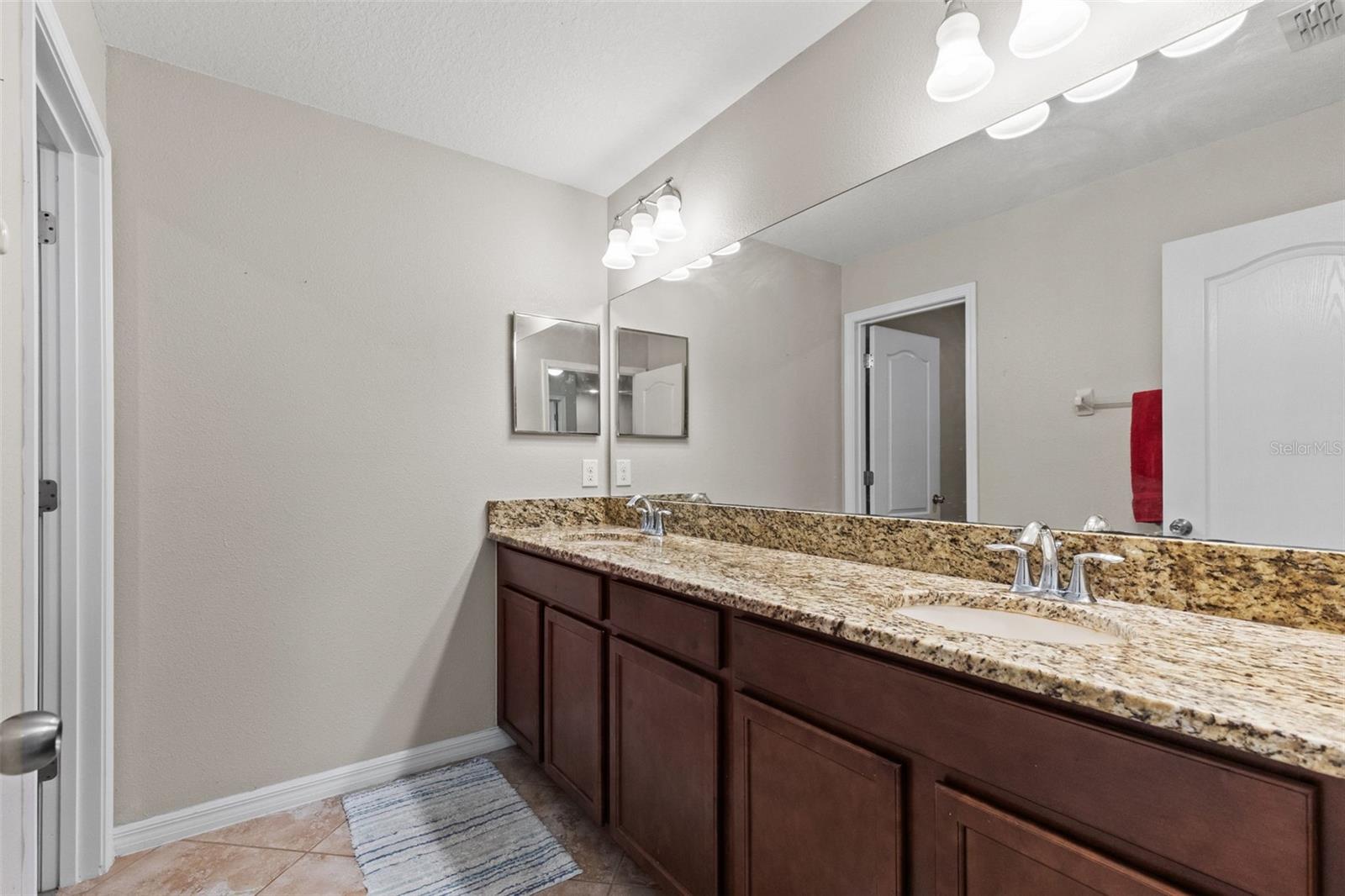 14242 BLUE DASHER DR — photo 36