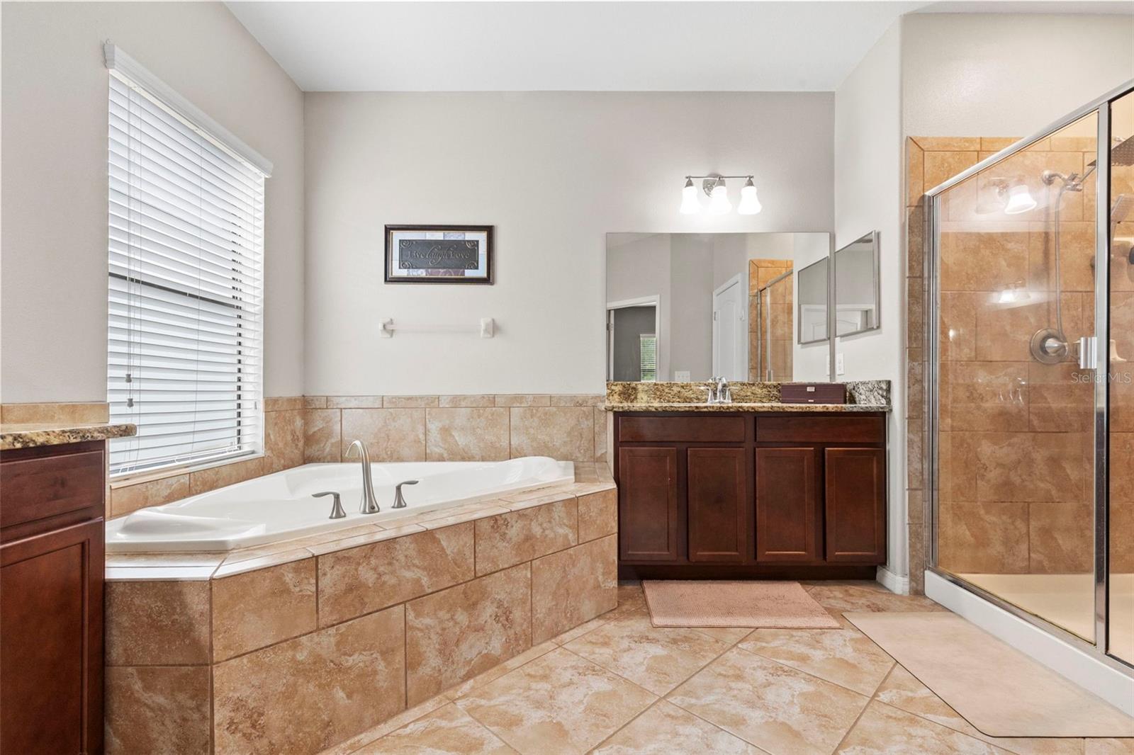 14242 BLUE DASHER DR — photo 21