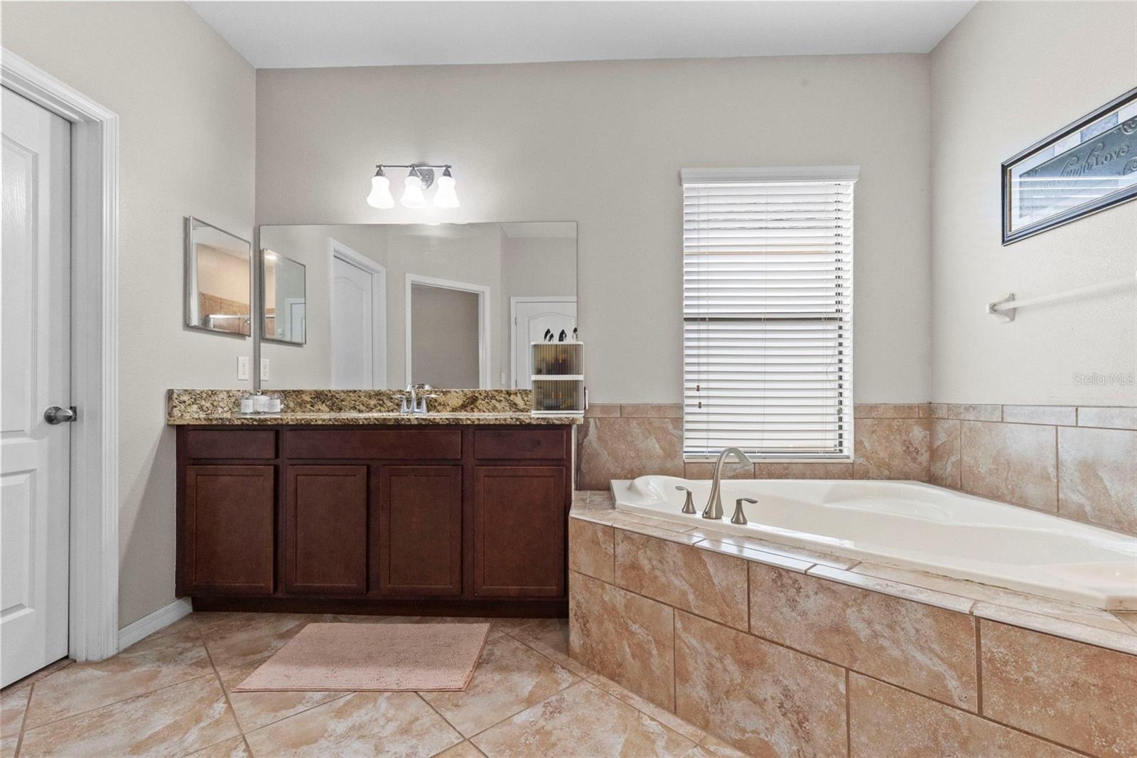 14242 BLUE DASHER DR — photo 20