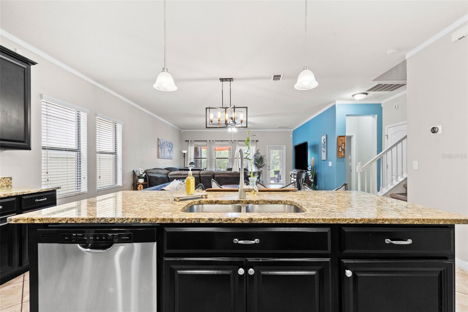 14242 BLUE DASHER DR — photo 10