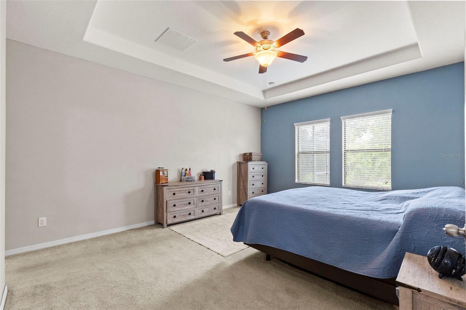 14242 BLUE DASHER DR — photo 23