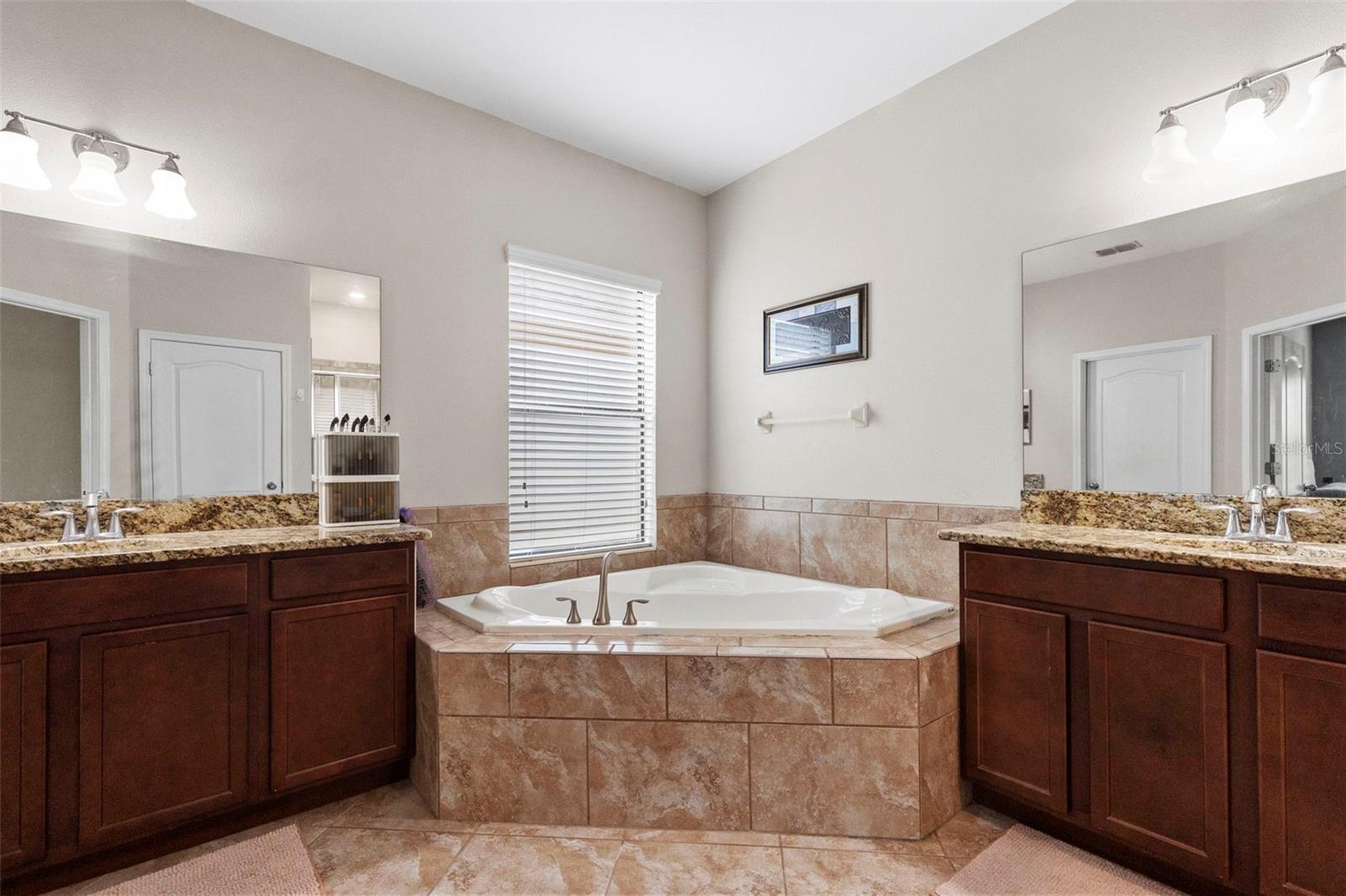 14242 BLUE DASHER DR — photo 19