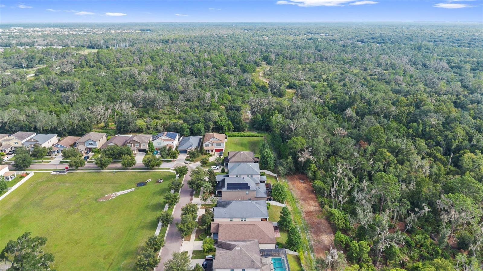 14242 BLUE DASHER DR — photo 52