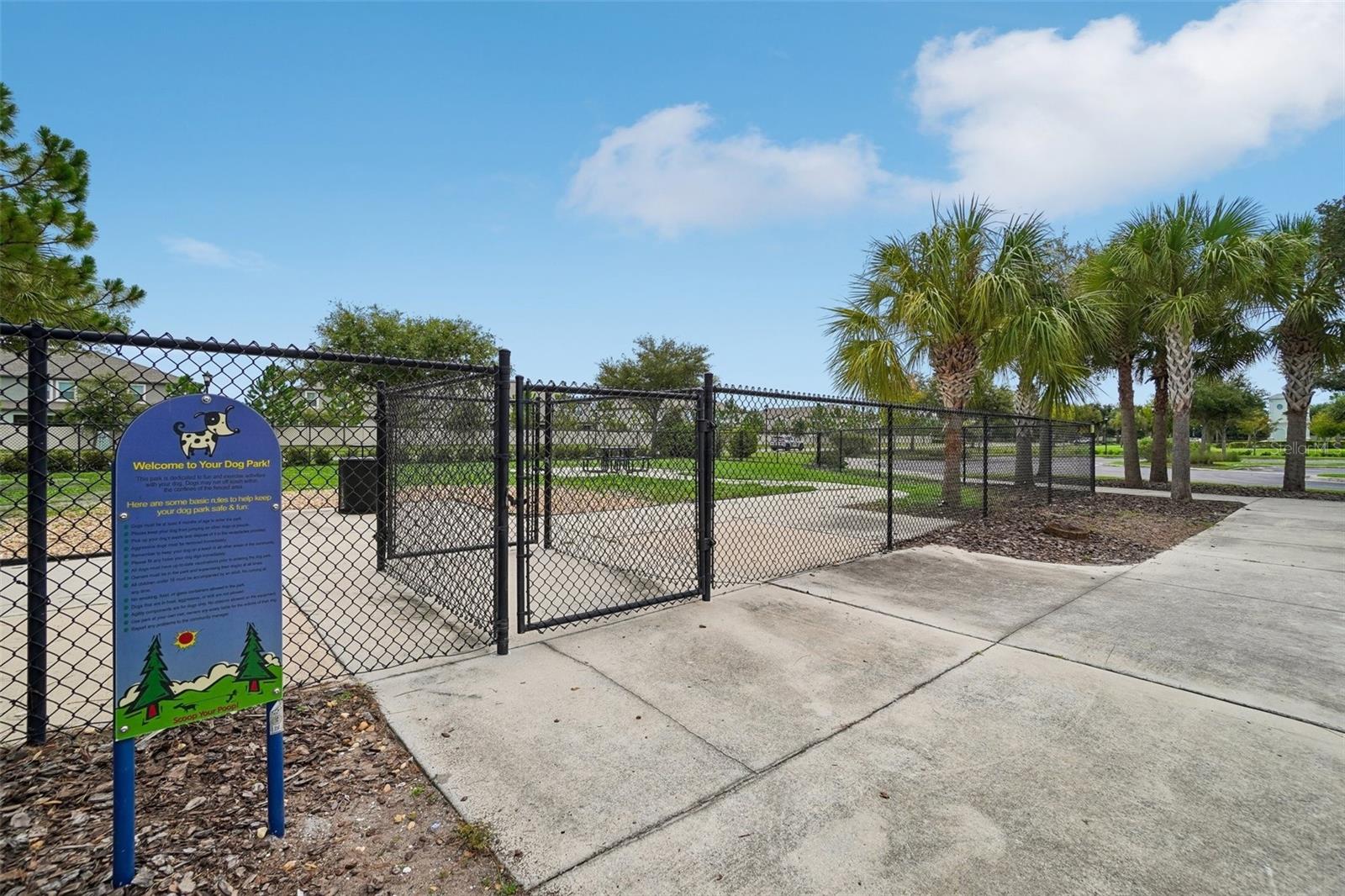 9663 CHANNING HILL DR — photo 25