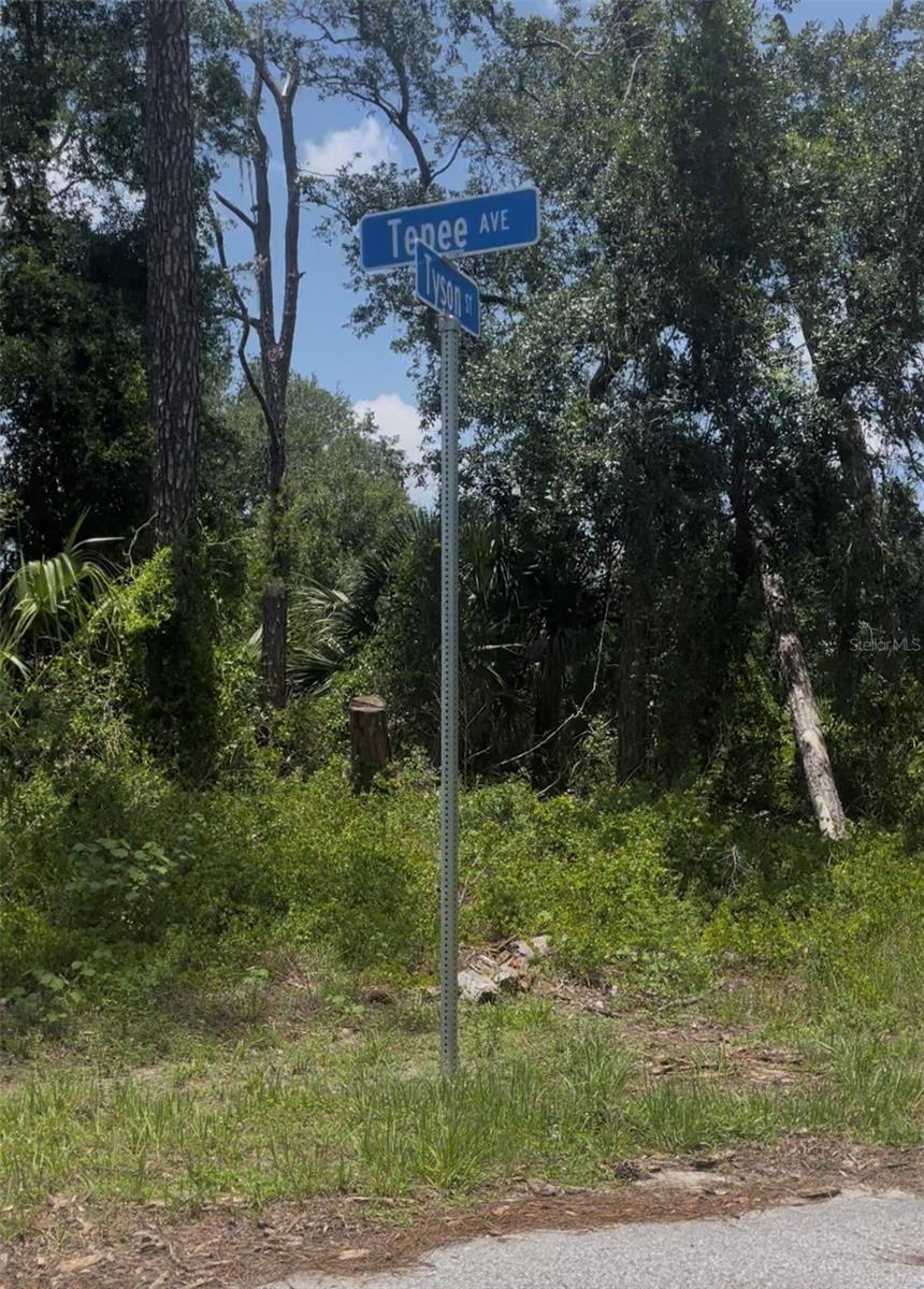 TEPEE AVE — photo 3