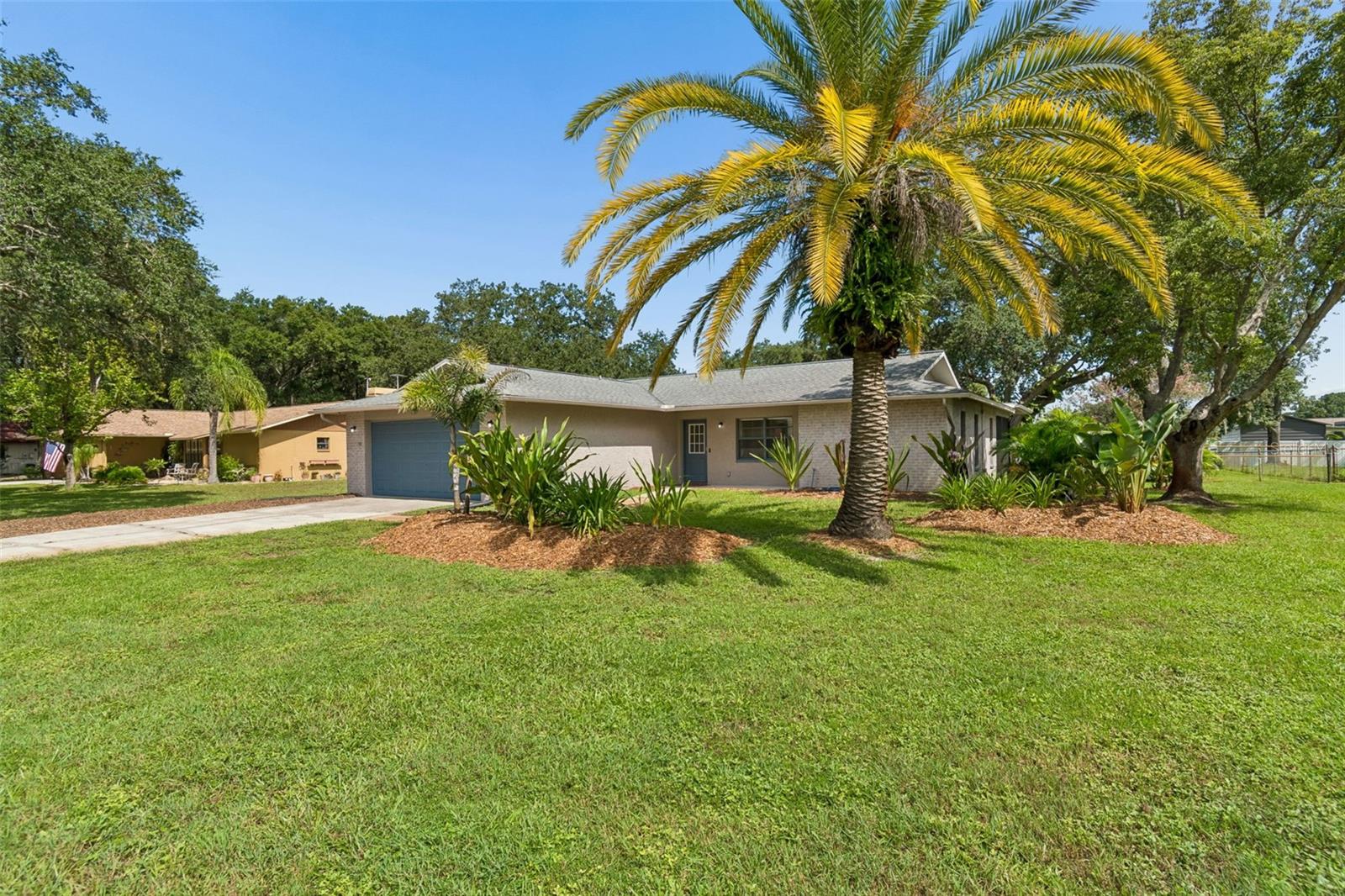 9329 AMAZON DR — photo 2