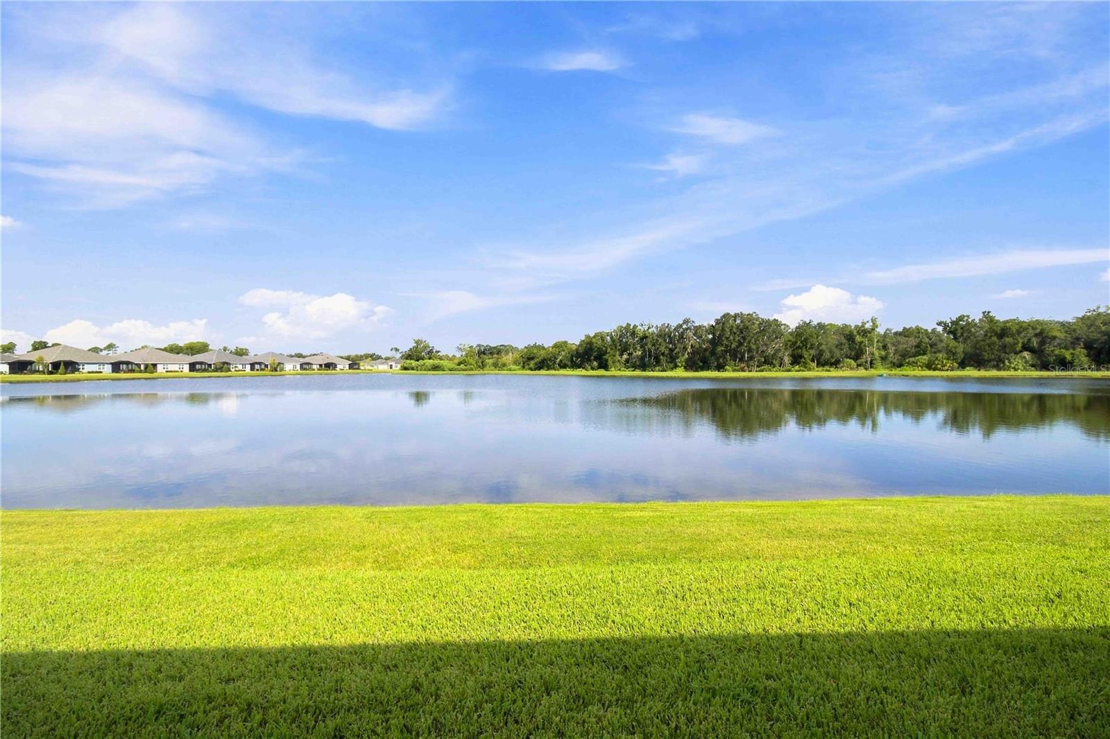 10037 HAMMOCK BROOK DR — photo 25