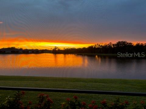 10037 HAMMOCK BROOK DR — photo 29