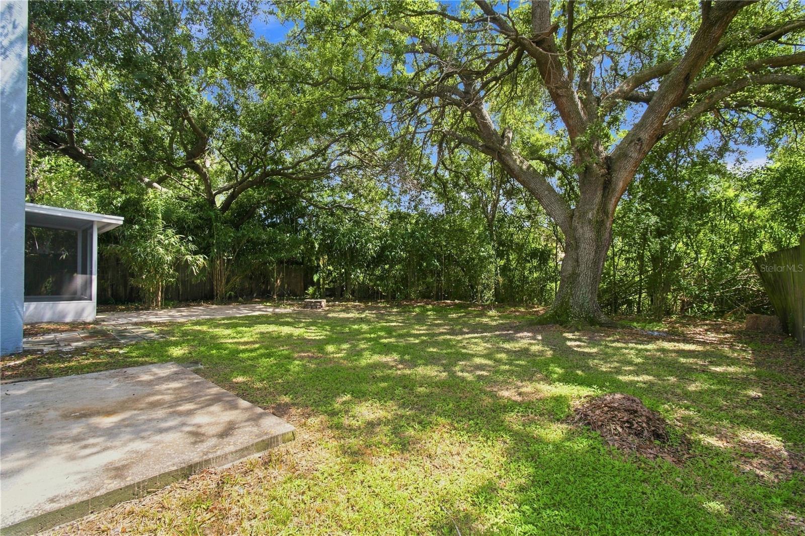 13417 BEECHBERRY DR — photo 38