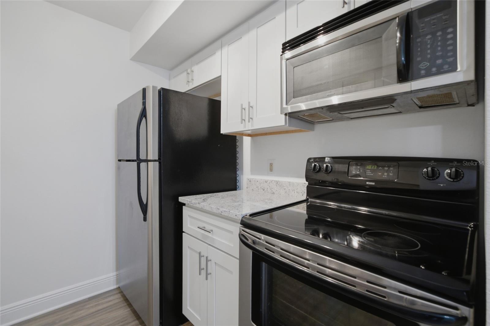 14315 HANGING MOSS CIR #101 — photo 8