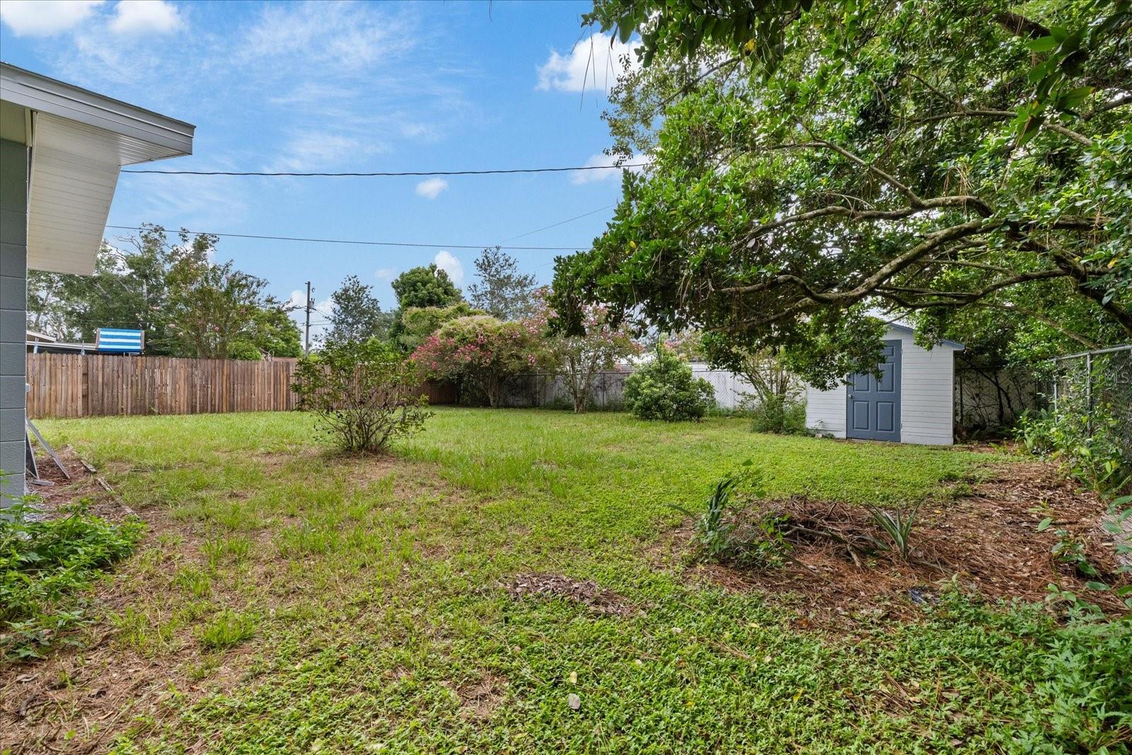 5900 AVOCADO ST — photo 29