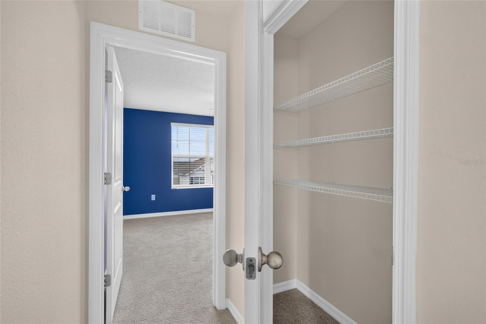 2818 GUMBO LIMBO DR — photo 40