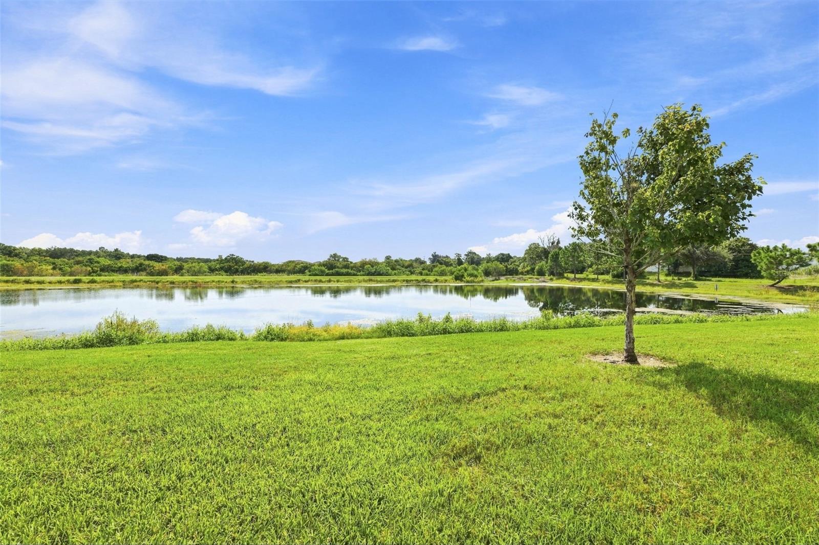 15548 FLORENCE HOLLOW PL — photo 7
