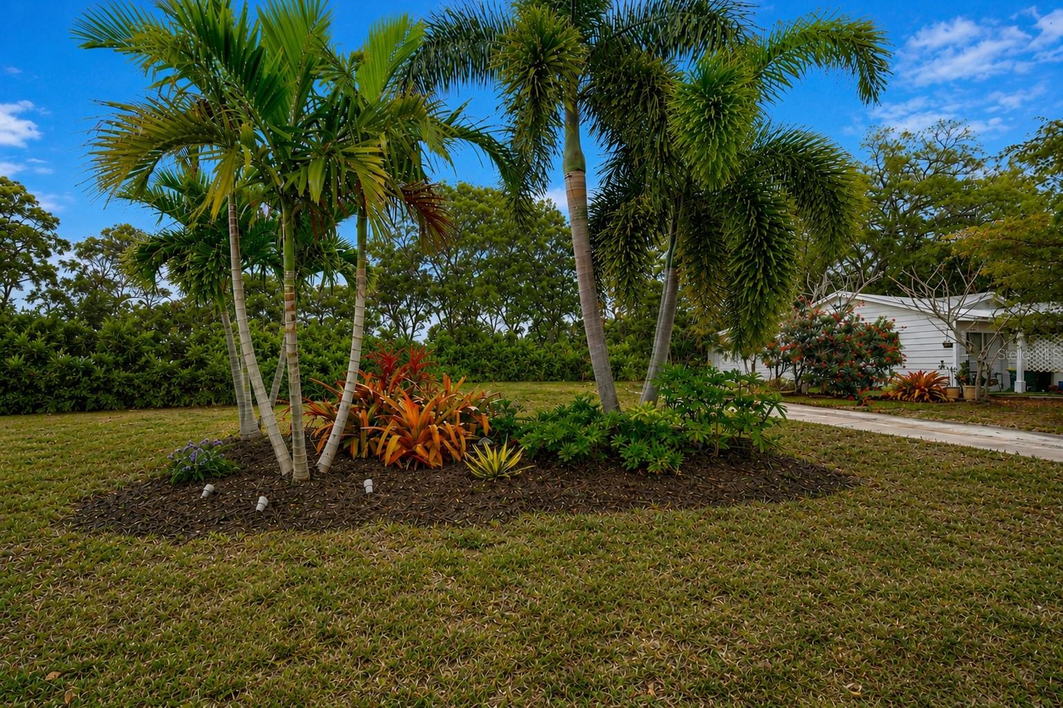 463 ACACIA DR — photo 4