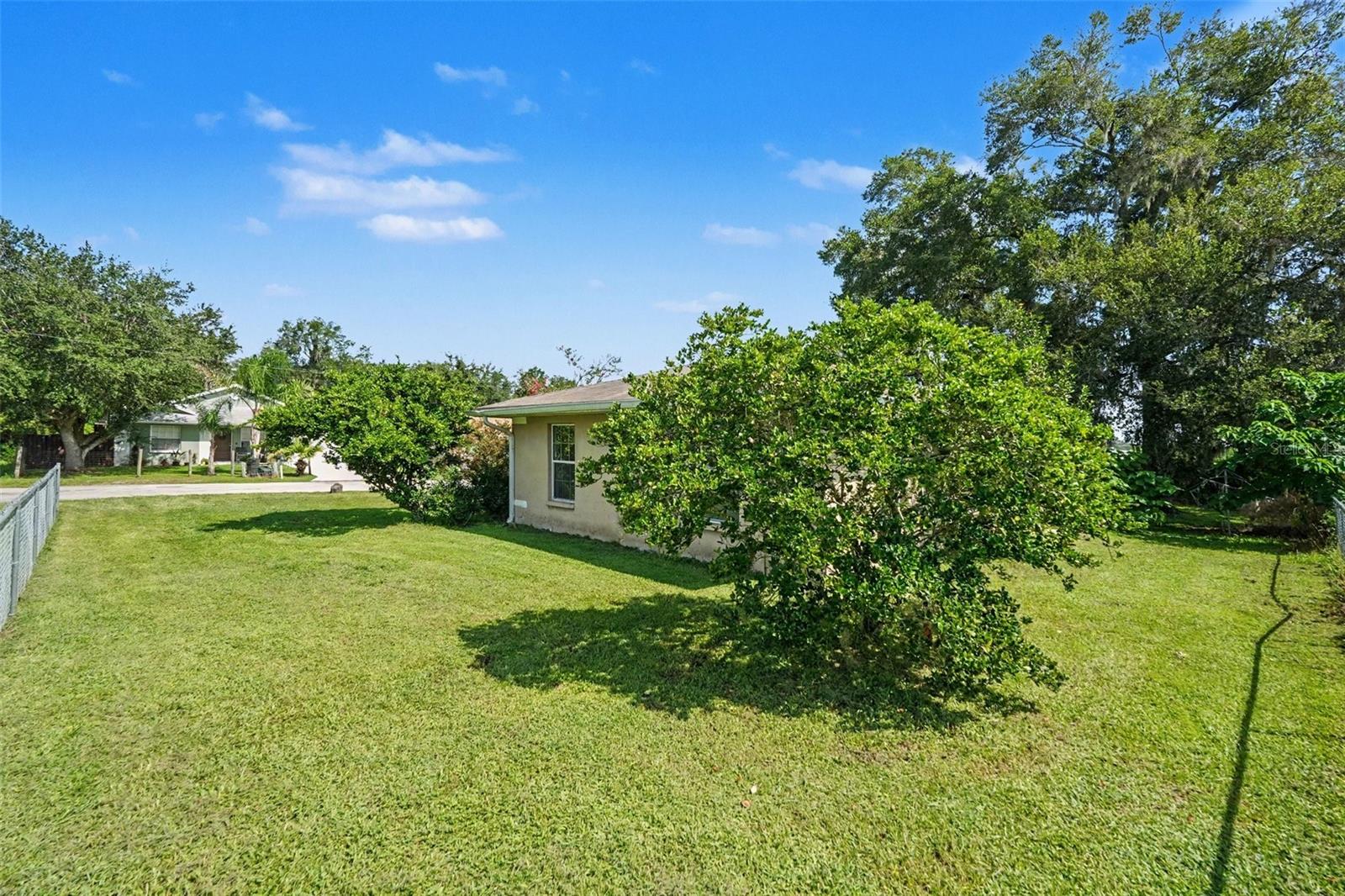 38638 PATTI LN — photo 15