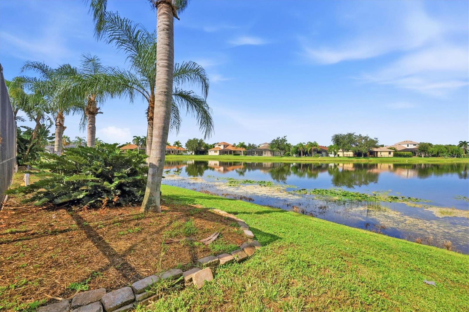 310 SALVIA CT — photo 35