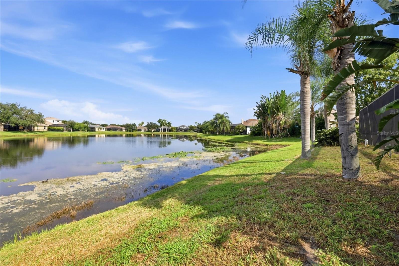310 SALVIA CT — photo 38