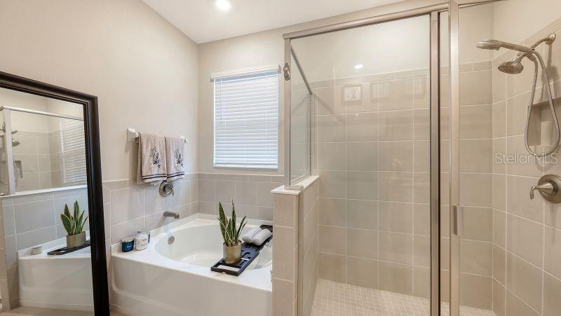 2108 MIDNIGHT PEARL DR — photo 28