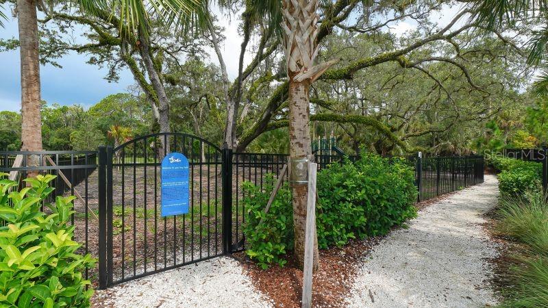 2108 MIDNIGHT PEARL DR — photo 57