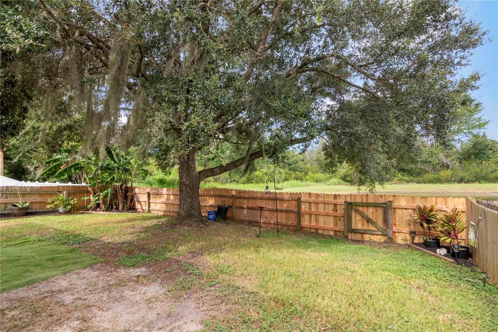 19604 TIMBERBLUFF DR — photo 29