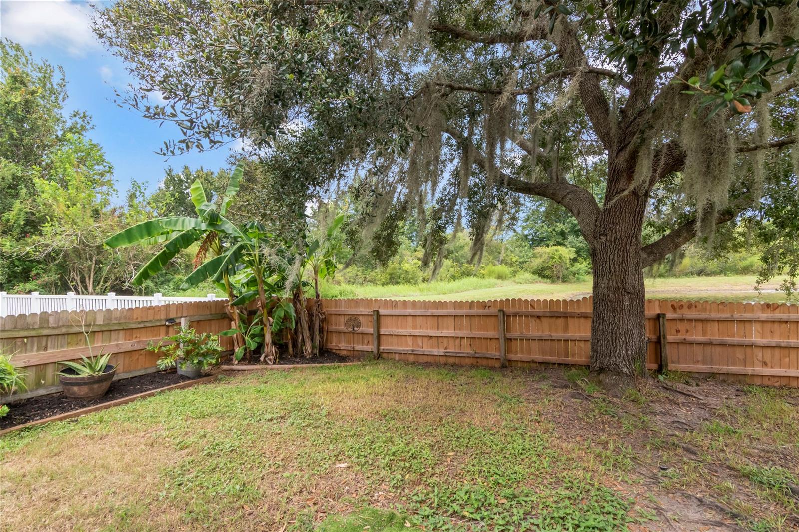 19604 TIMBERBLUFF DR — photo 30