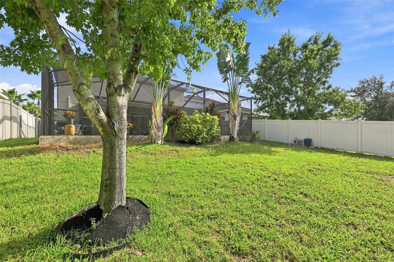 11156 SPRING POINT CIR — photo 38