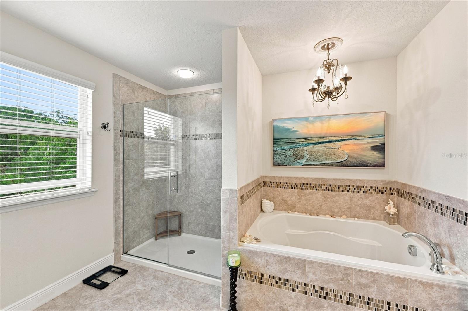 11156 SPRING POINT CIR — photo 24