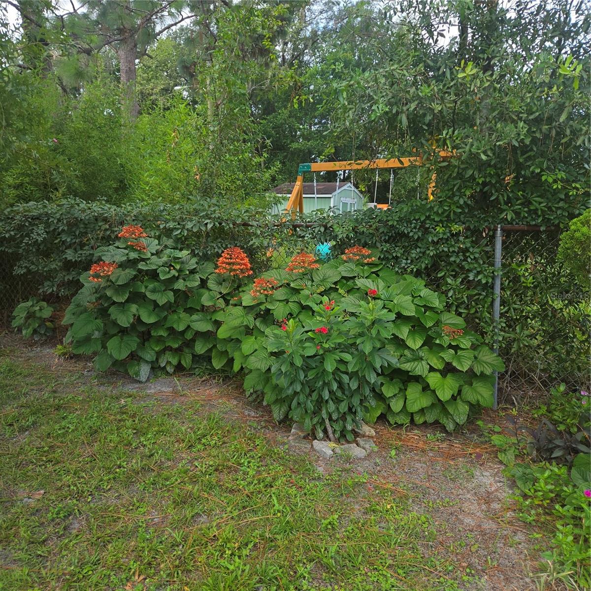 9511 CLYDE ST — photo 36