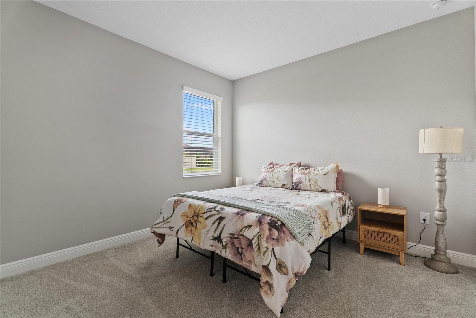 17668 SAVORY MIST CIR — photo 21