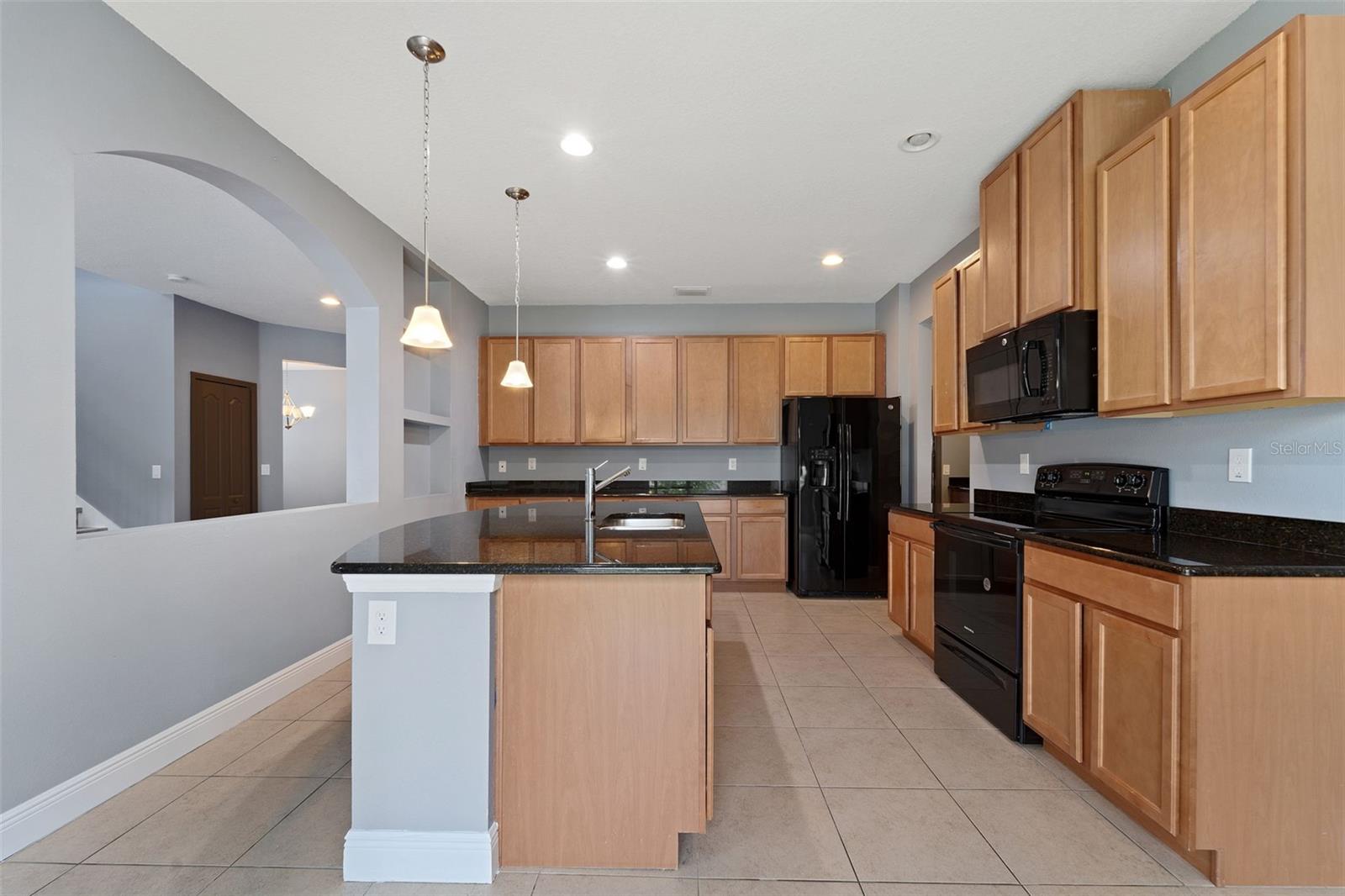 11006 TAHITI ISLE LN — photo 10