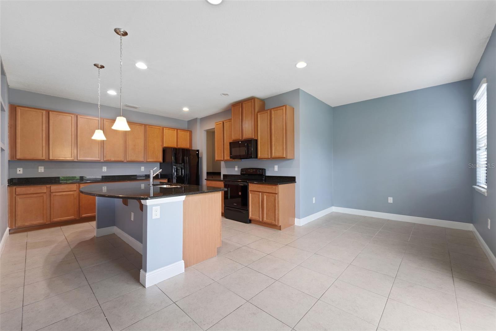 11006 TAHITI ISLE LN — photo 9