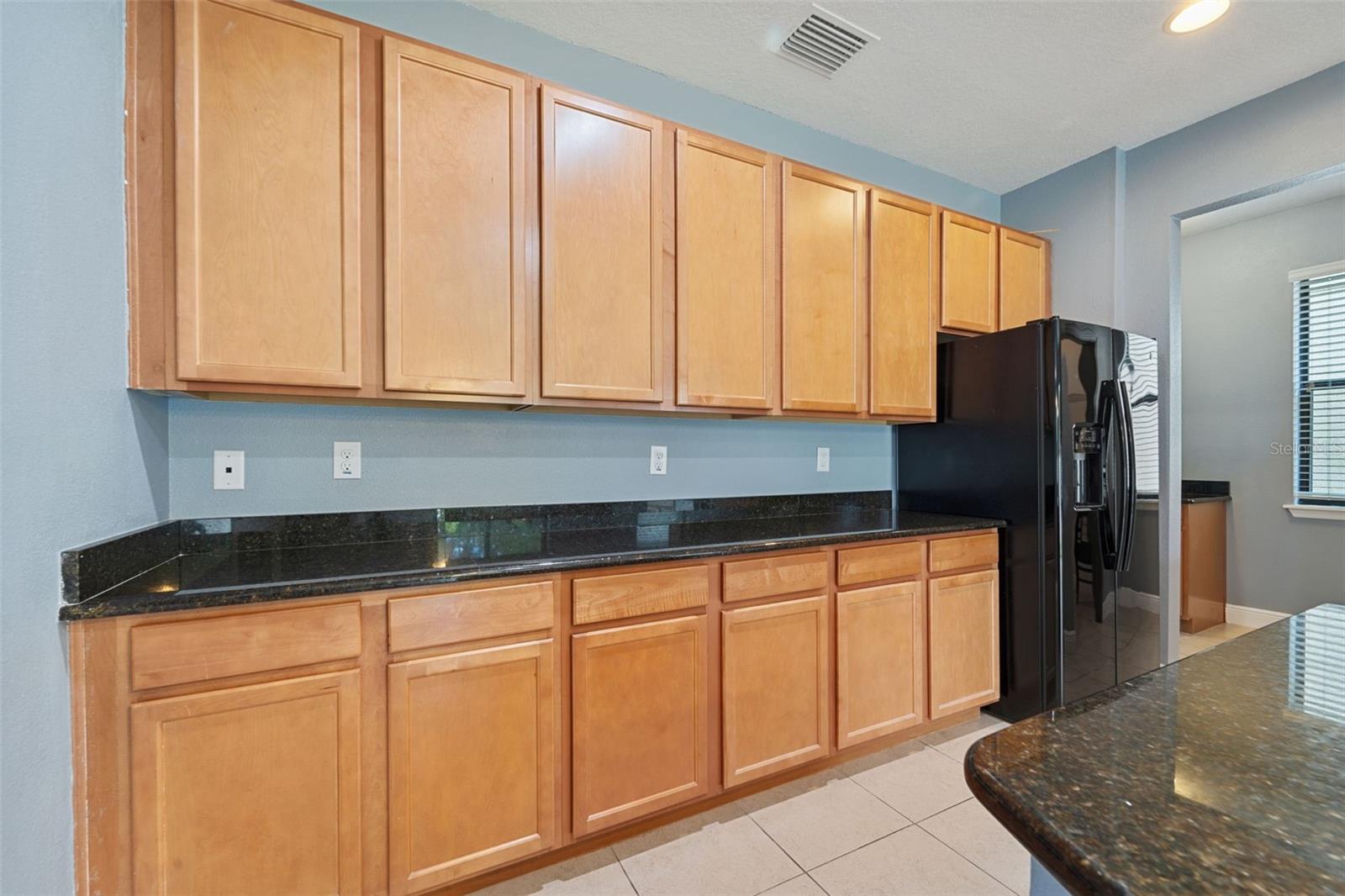 11006 TAHITI ISLE LN — photo 12